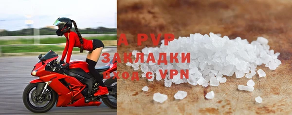 индика Беломорск