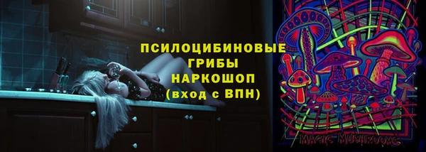 индика Баксан