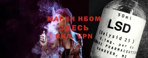 индика Беломорск