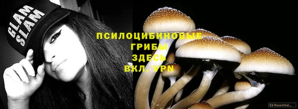 трава Сатка