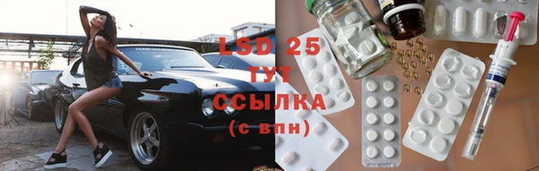 индика Беломорск