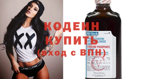 шишки Балахна