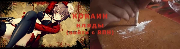 индика Беломорск