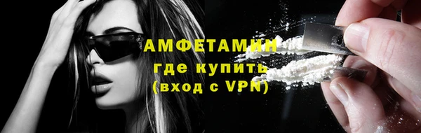 индика Беломорск
