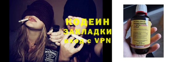 индика Баксан