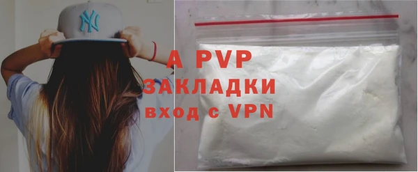 индика Беломорск