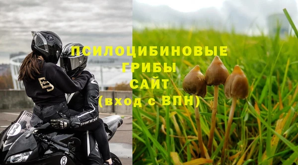 бошки Белокуриха