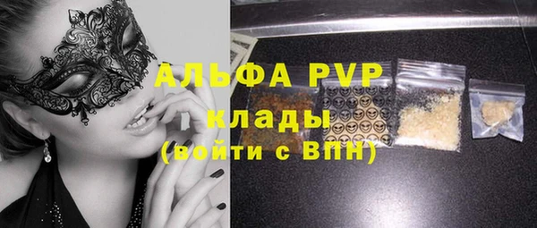 индика Беломорск