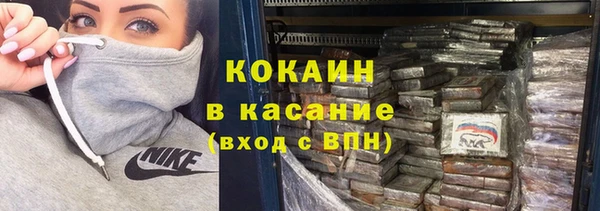 бошки Белокуриха