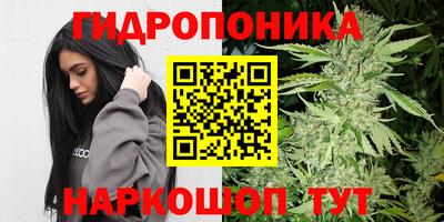 дживик Жуковский