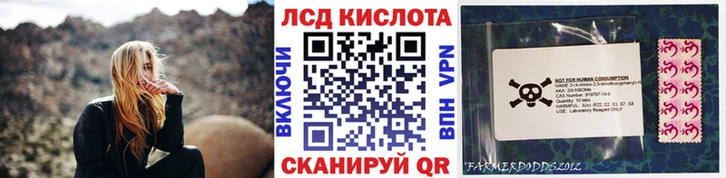 закладки  Кунгур  Марки 25I-NBOMe 1500мкг 
