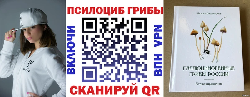 закладки  Кунгур  Галлюциногенные грибы мицелий 
