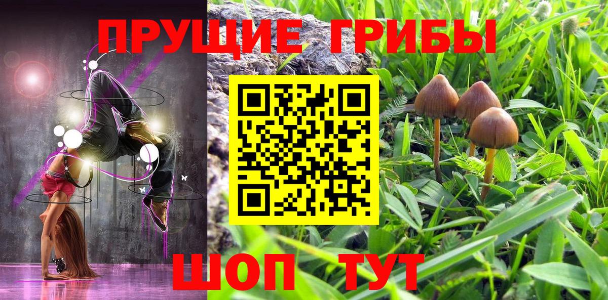 Галлюциногенные грибы мицелий Кунгур