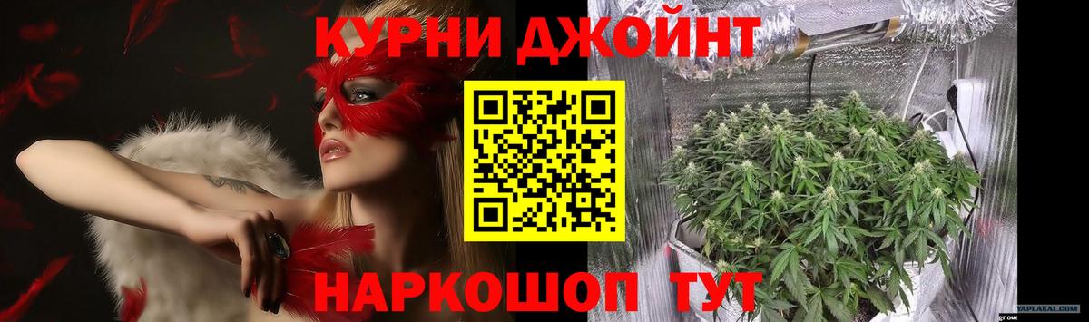 Канабис сатива Кунгур